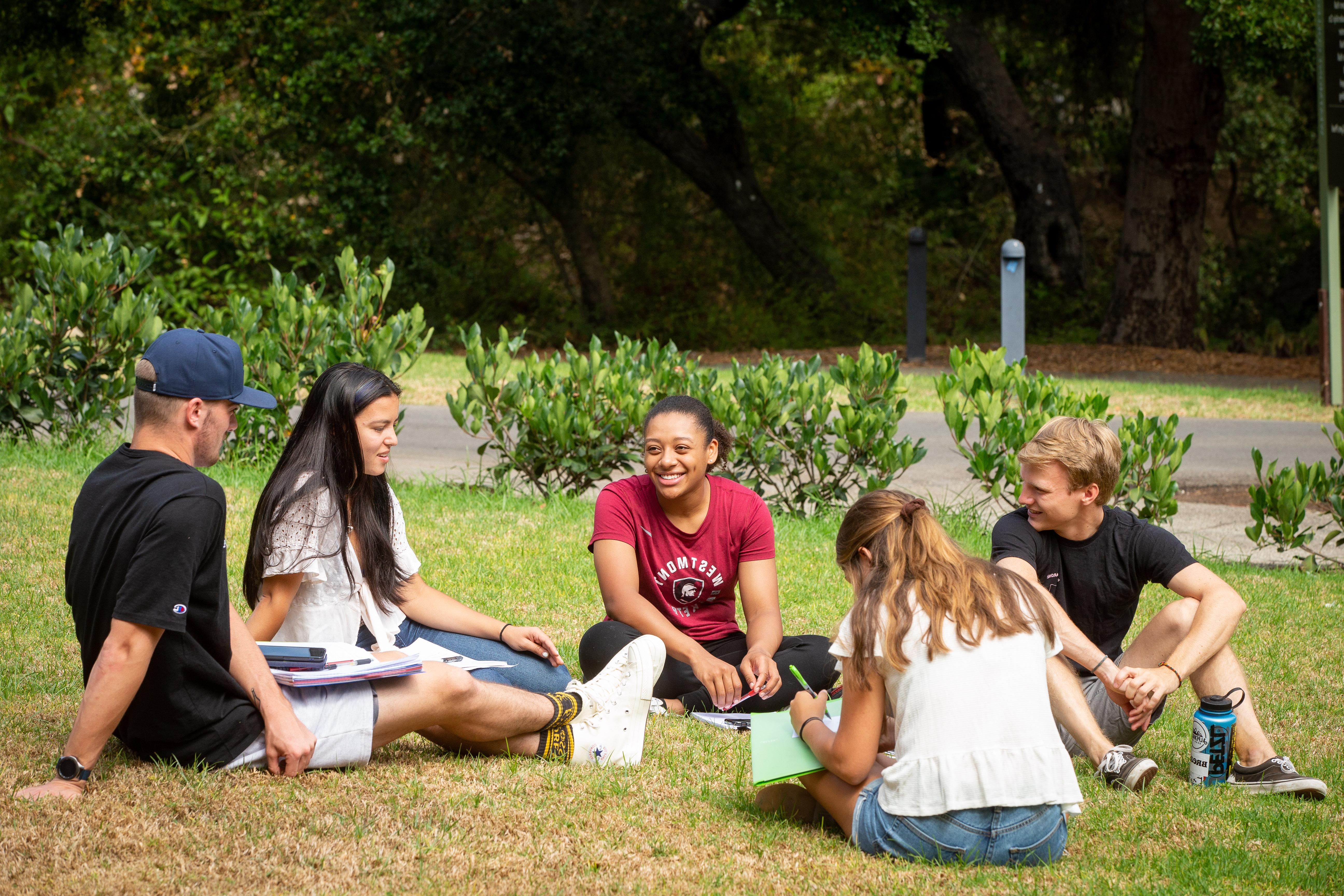 students studying on the grass